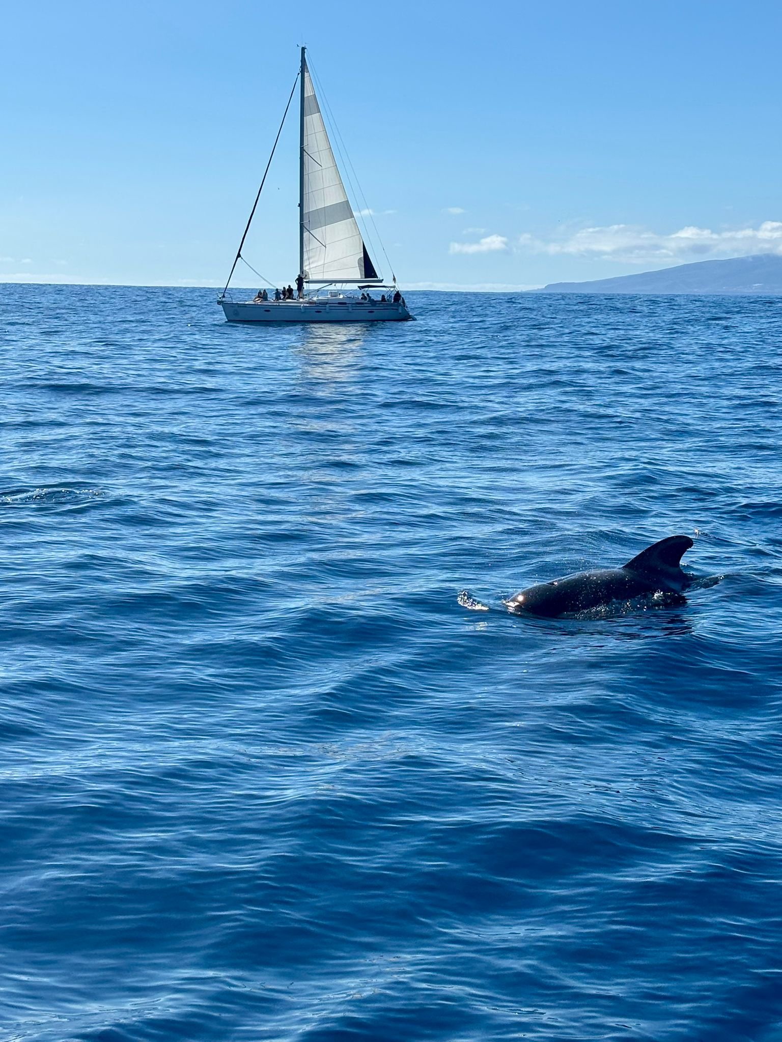 WhatsApp Image 2026-01-31 at 21.29.55 (1)