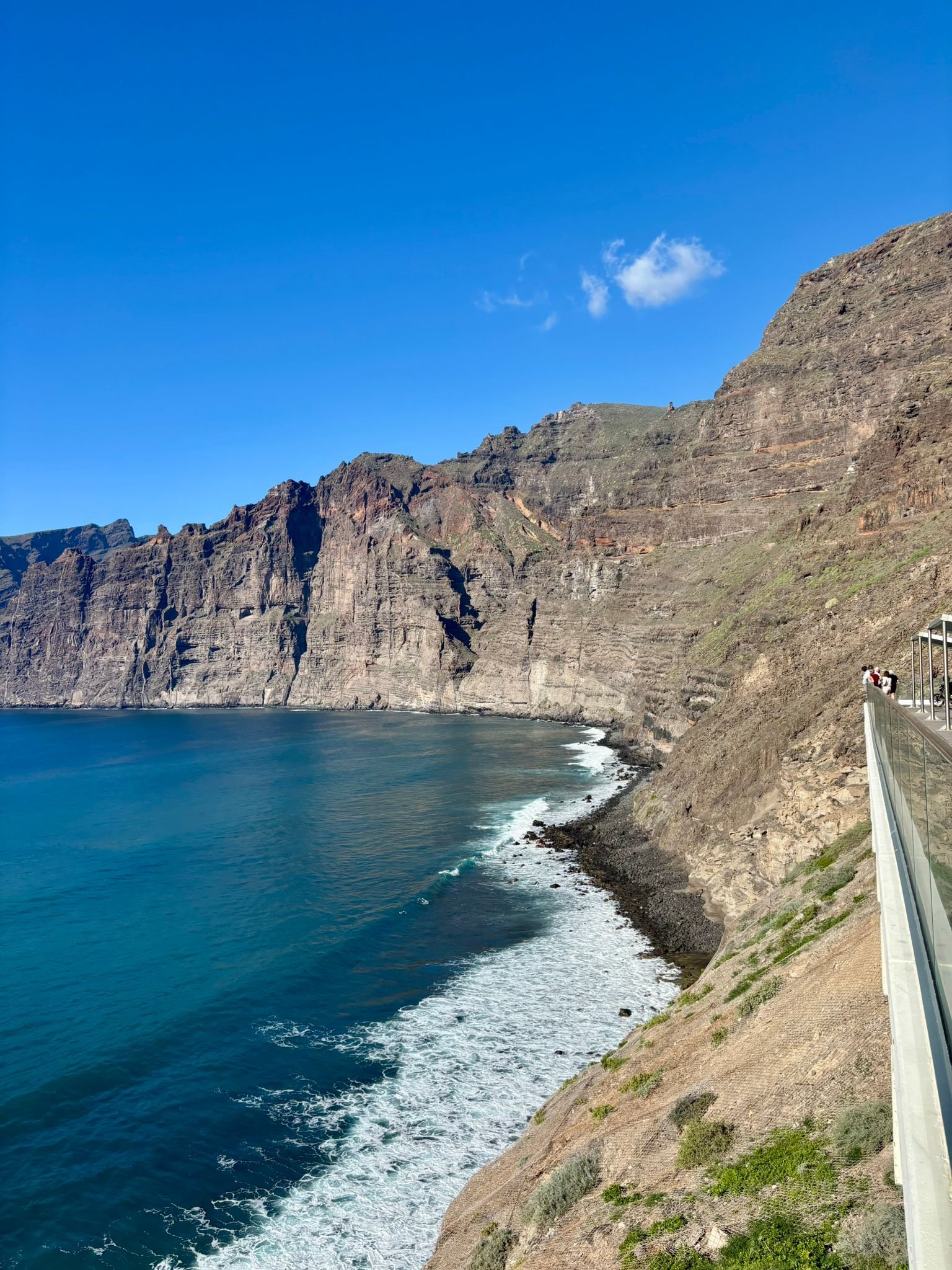 WhatsApp Image 2026-01-31 at 21.29.55